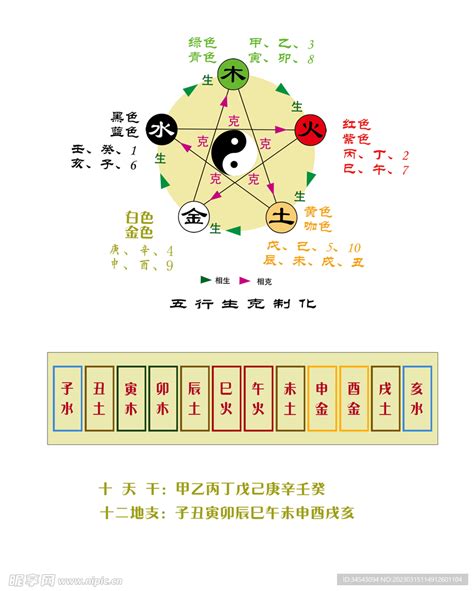 辛亥五行|辛亥（天干地支中的辛亥）